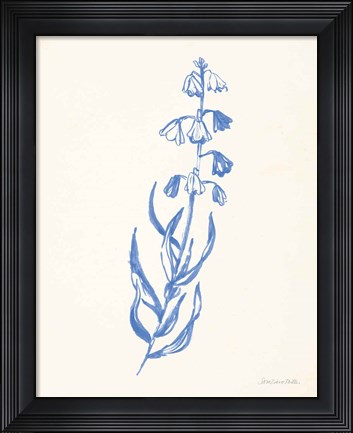 Framed Bluebells II Print