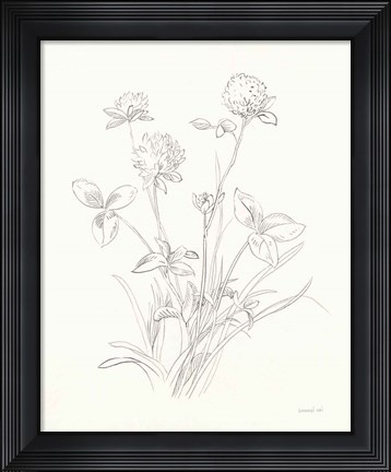 Framed Nature Sketchbook VIII Print