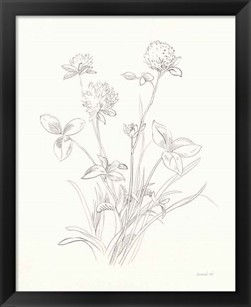 Framed Nature Sketchbook VIII Print