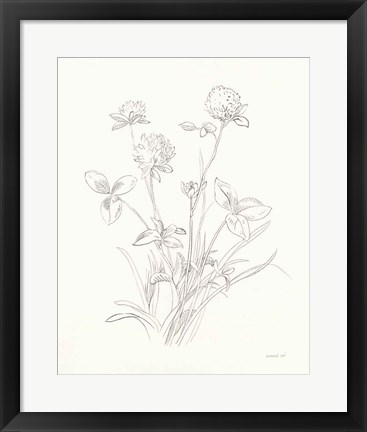 Framed Nature Sketchbook VIII Print