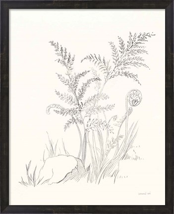 Framed Nature Sketchbook VI Print