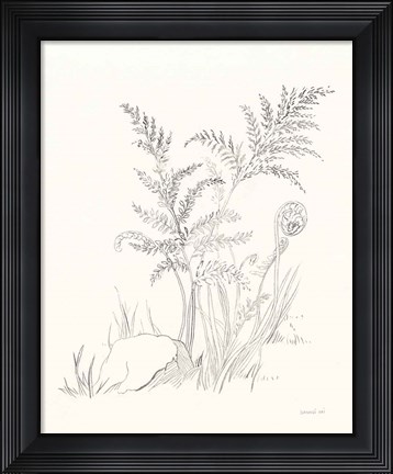 Framed Nature Sketchbook VI Print