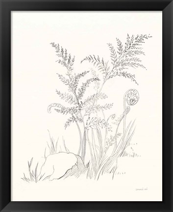 Framed Nature Sketchbook VI Print