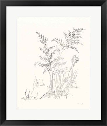 Framed Nature Sketchbook VI Print