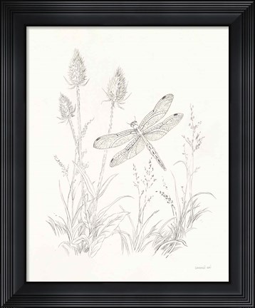 Framed Nature Sketchbook IV Print