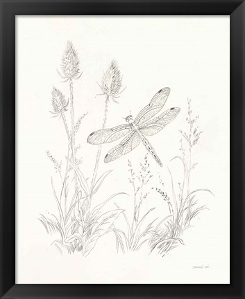 Framed Nature Sketchbook IV Print