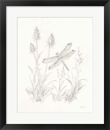 Framed Nature Sketchbook IV Print