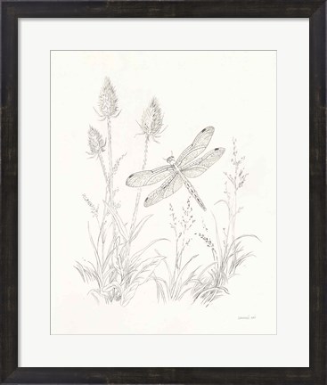 Framed Nature Sketchbook IV Print
