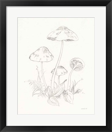 Framed Nature Sketchbook III Print