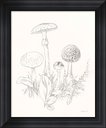 Framed Nature Sketchbook II Print