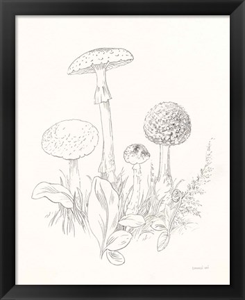 Framed Nature Sketchbook II Print