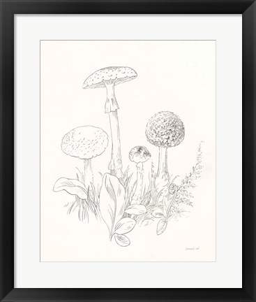 Framed Nature Sketchbook II Print
