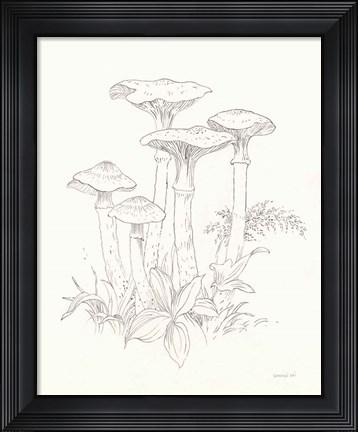 Framed Nature Sketchbook I Print