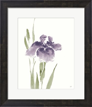 Framed Japanese Iris III Purple Crop Print