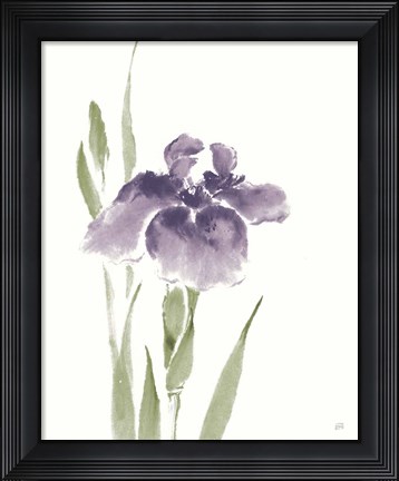 Framed Japanese Iris III Purple Crop Print