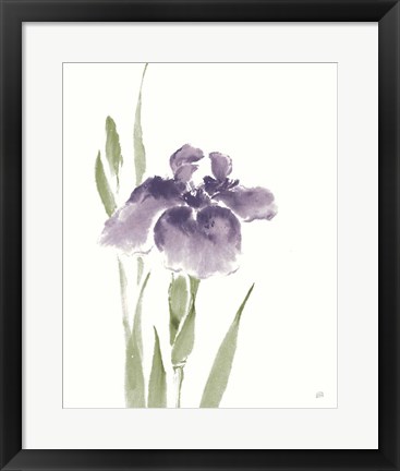 Framed Japanese Iris III Purple Crop Print