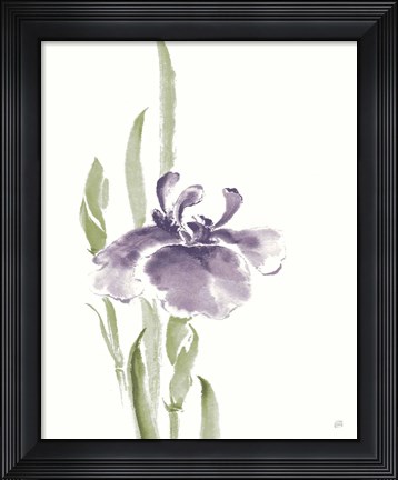 Framed Japanese Iris II Purple Crop Print