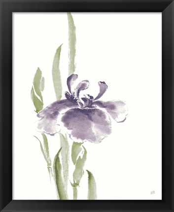 Framed Japanese Iris II Purple Crop Print