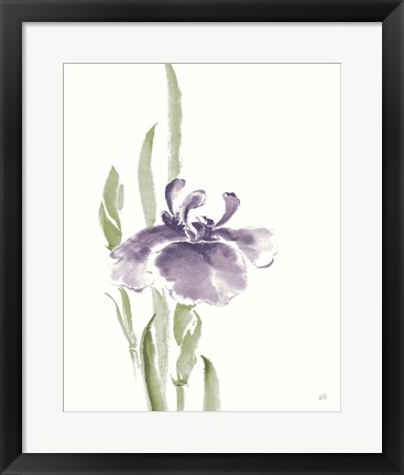 Framed Japanese Iris II Purple Crop Print