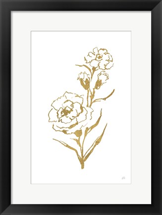Framed Gold Line Carnation III Print