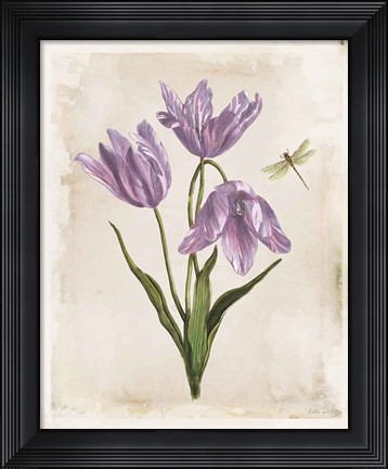 Framed Antiquarian Blooms III Purple Print