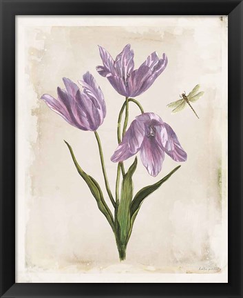 Framed Antiquarian Blooms III Purple Print