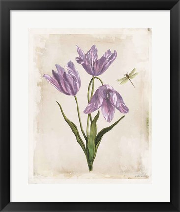 Framed Antiquarian Blooms III Purple Print