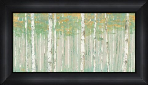 Framed Birchs at Sunrise Gold Crop Print