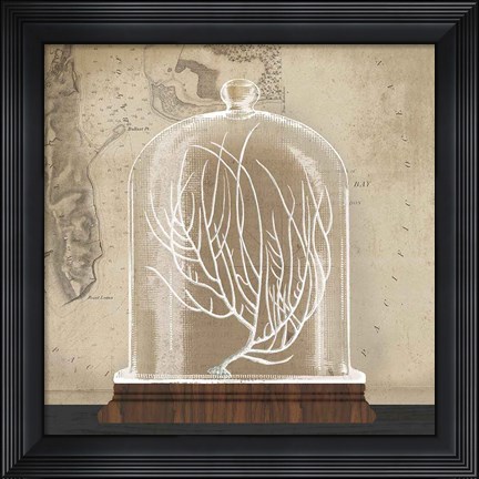 Framed Coral Cloche II Print