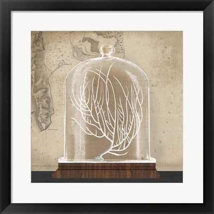 Framed Coral Cloche II Print