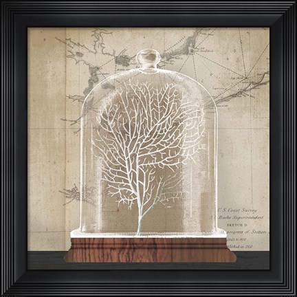 Framed Coral Cloche I Print