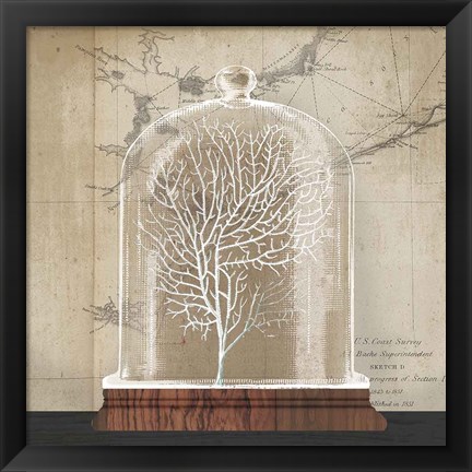 Framed Coral Cloche I Print