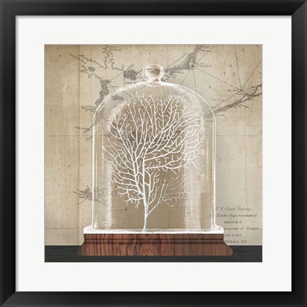 Framed Coral Cloche I Print