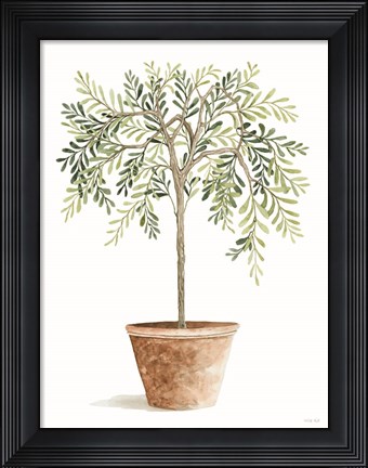 Framed Topiary I Print