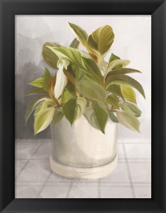 Framed Ironstone Planter I Print