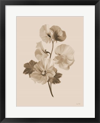 Framed Sepia Botanical II Print