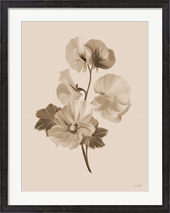 Framed Sepia Botanical II Print