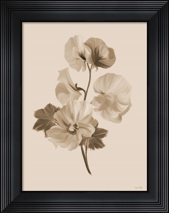 Framed Sepia Botanical II Print