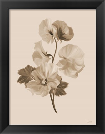 Framed Sepia Botanical II Print