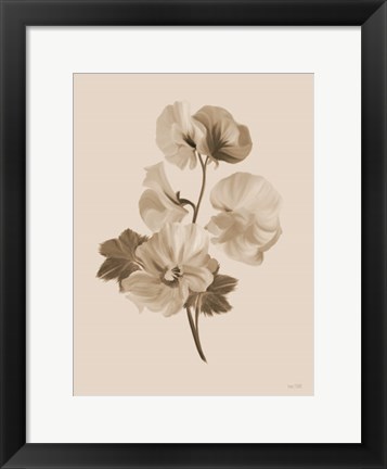 Framed Sepia Botanical II Print