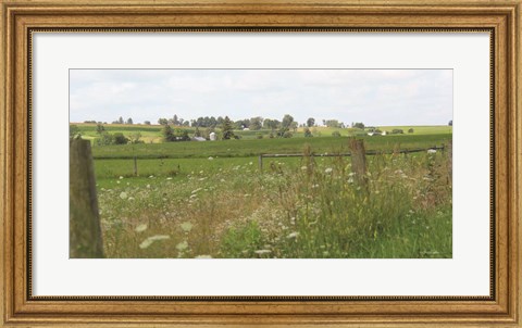 Framed Along the Country Road Print