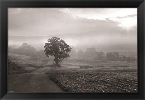 Framed Morning Haze II Print