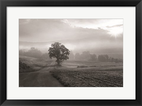 Framed Morning Haze II Print