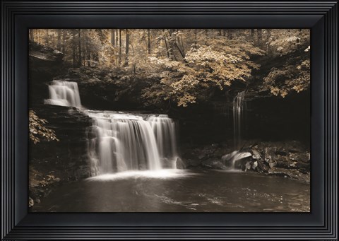 Framed Golden Waterfall I Print