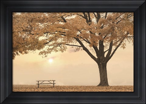 Framed Perfect Picnic Spot Print