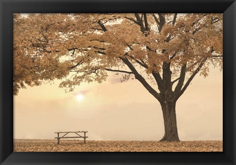 Framed Perfect Picnic Spot Print