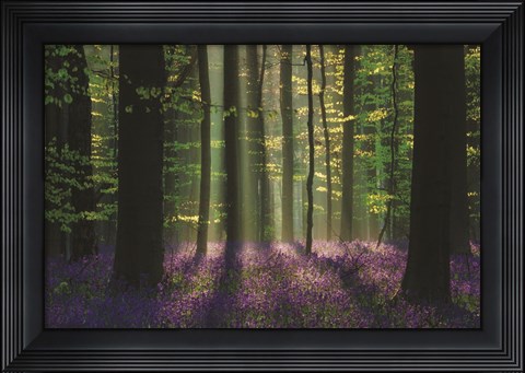 Framed Perfect Spring Scene Print