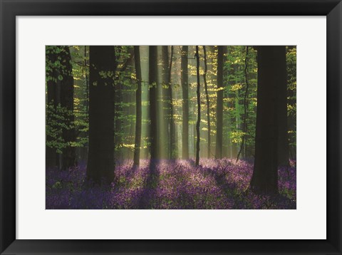 Framed Perfect Spring Scene Print