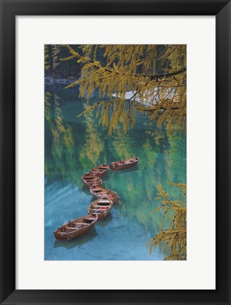 Framed S Curve Print