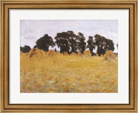 Framed Field Print